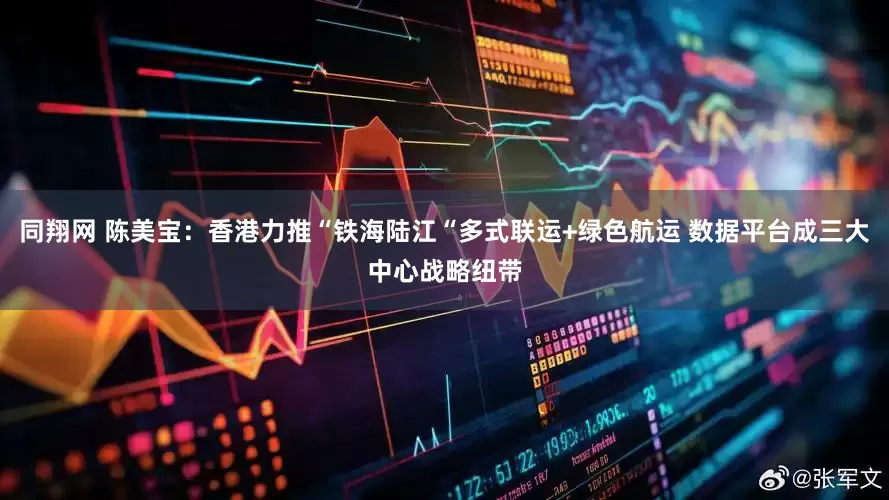同翔网 陈美宝：香港力推“铁海陆江“多式联运+绿色航运 数据平台成三大中心战略纽带