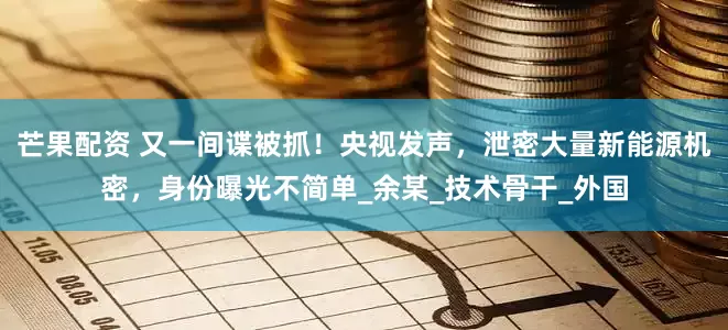 芒果配资 又一间谍被抓！央视发声，泄密大量新能源机密，身份曝光不简单_余某_技术骨干_外国