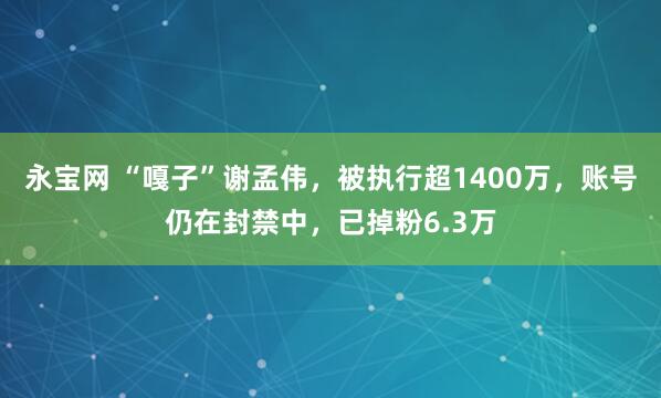 永宝网 “嘎子”谢孟伟，被执行超1400万，账号仍在封禁中，已掉粉6.3万