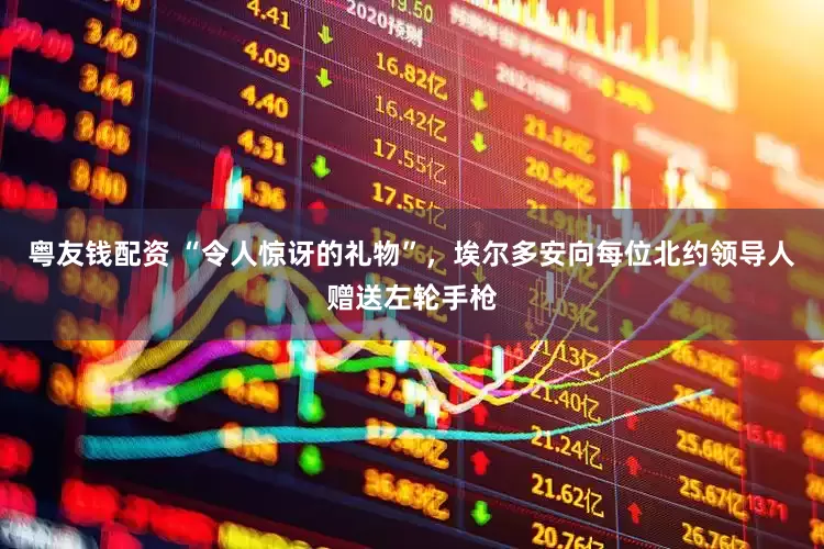 粤友钱配资 “令人惊讶的礼物”，埃尔多安向每位北约领导人赠送左轮手枪